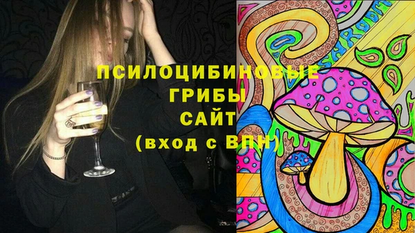 стаф Бронницы